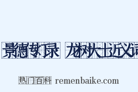 景德传灯录·龙树大士近义词是什么意思的图片